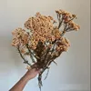 Naranja claro