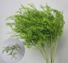 Rosmarino Verde