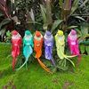 Uccelli a coda lunga di colori misti: 12 per confezione