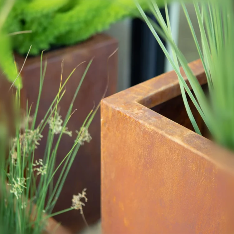 product-1-1 product-1-1