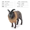 colorato PL127-842 pecora himalayana 59g