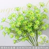 Green six-headed blue star flower branch