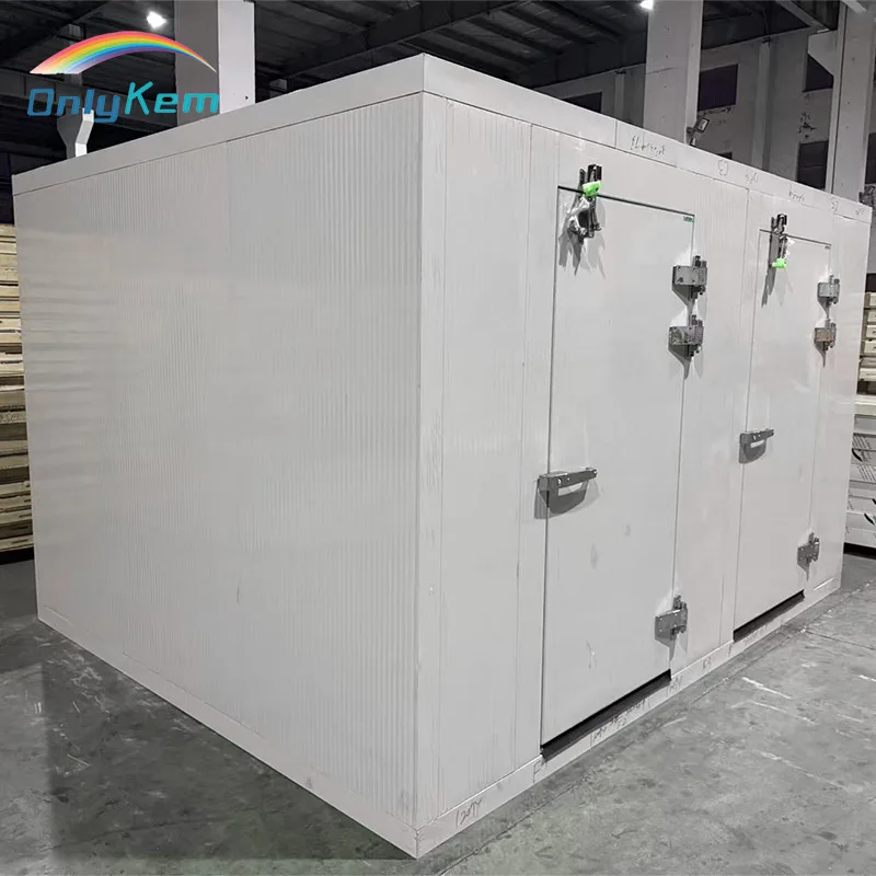 Refrigerated Cold Room Freezer, 220v, R404A - detail 4