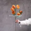 Rose de thé