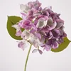 Huella de mano coral mágico hortensia-púrpura