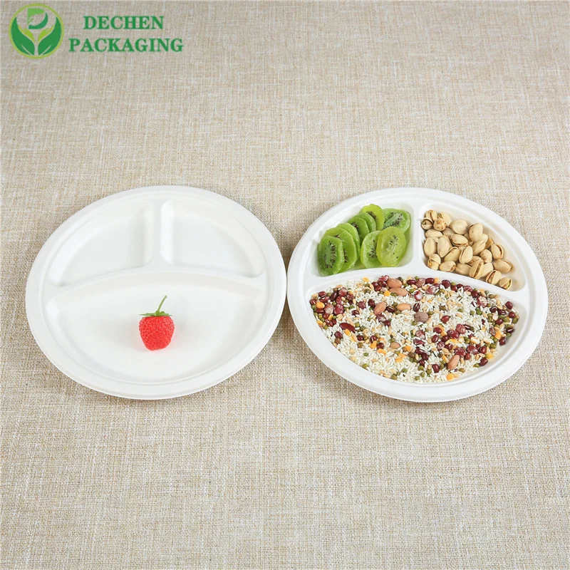 Biodegradable 10-Inch Bagasse Plates - Disposable Eco-Friendly