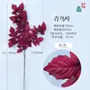 Bluebird leaf red