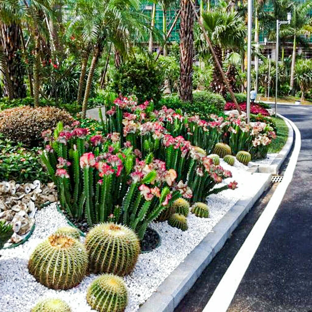 Factory Produce Different Size Large Cactus Globose Garden Landscape Cactus Decorations Indoor Outdoor Artifical Cactus Plant