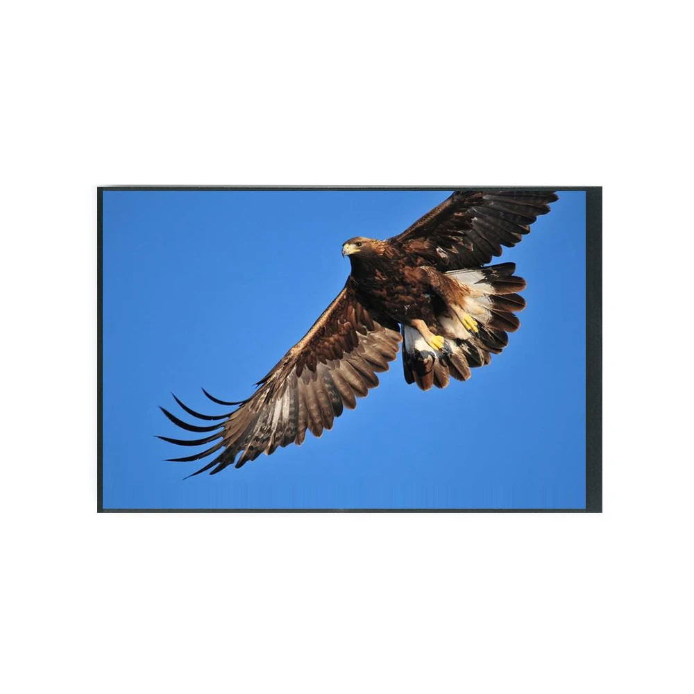 eaglecad tft lcd for sale