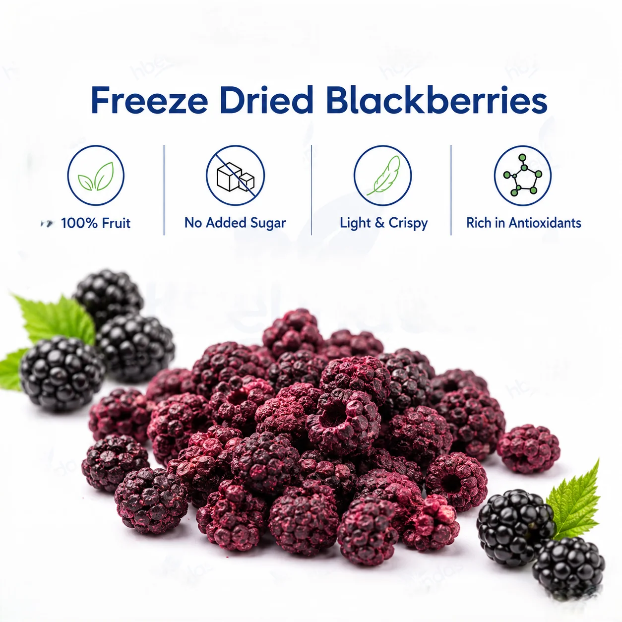Freeze Dried Blackberry Wholesale | Bulk Blackberry Supplier H80b485e066504b9c974a0b560da4e49dC