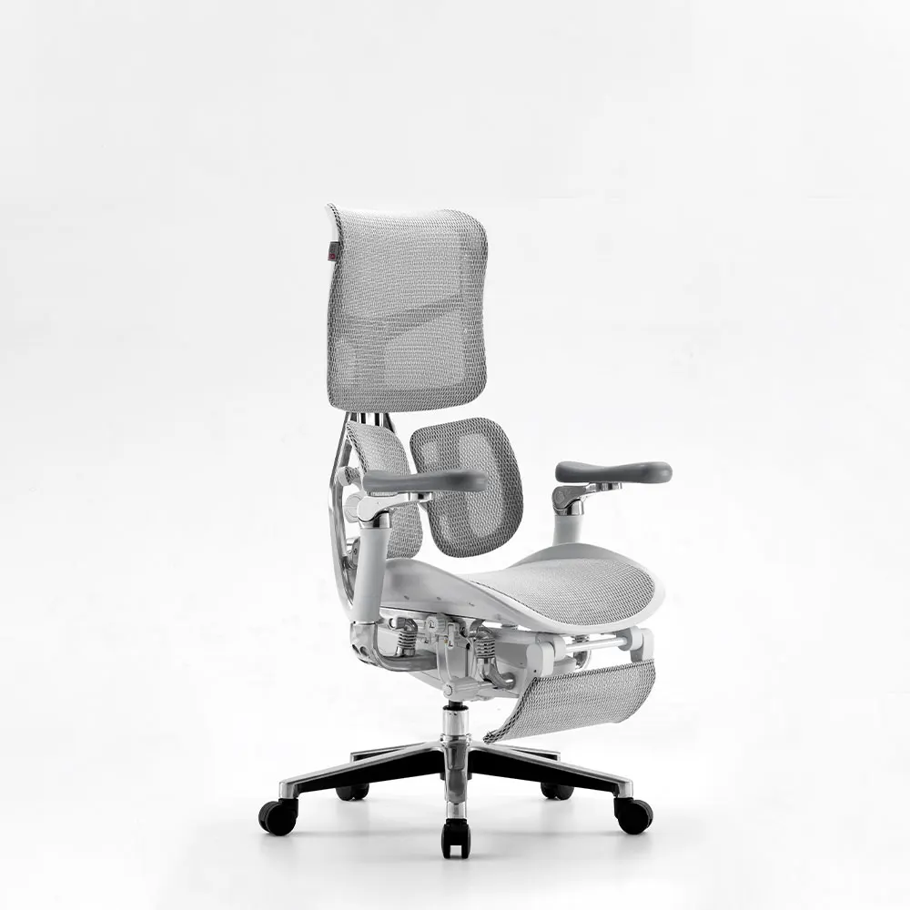 2023 Sihoo New Design High End Lumbar Support High Back Office Chair