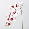 White with red