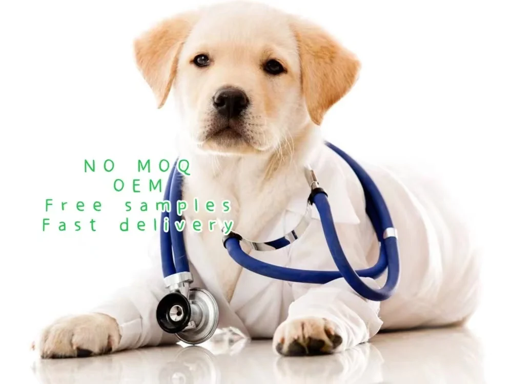 Dog Rln Pregnancy Veterinary Test Kit At Buy Canine Rapid Test Kit,Relaxin,Vet Rapid Test