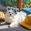 Blue and white