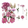Mauve Pink