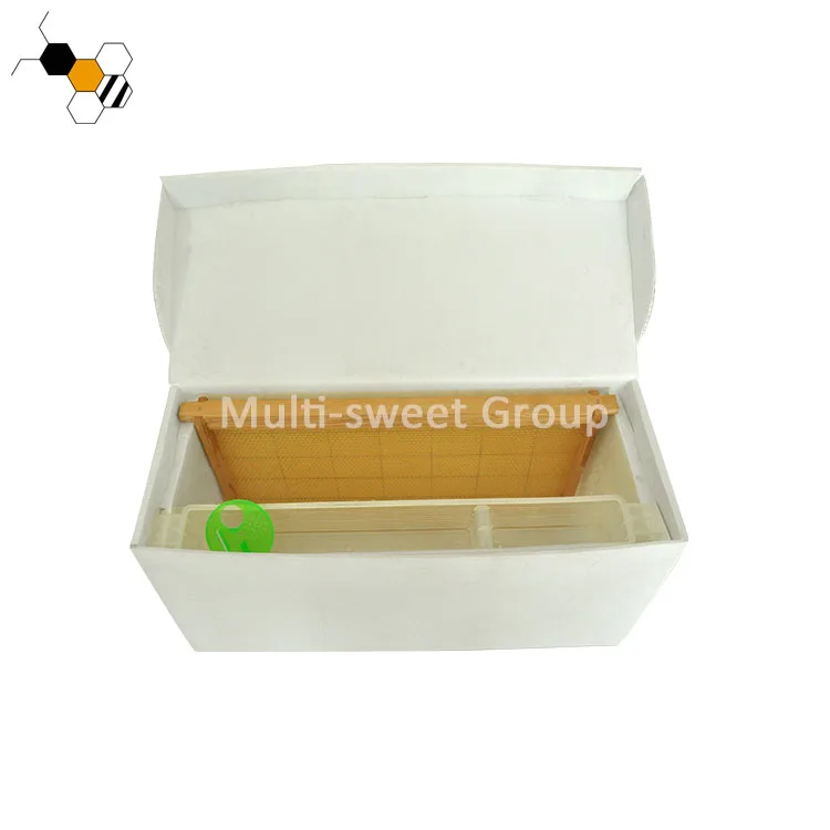 New Plastic Corflute Beehive Nuc Box For Beekeeping For Farms Home Use ...