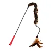 A magical cat toy-long plush