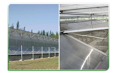 Polycarbonate board greenhouse