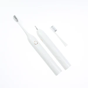 Electric Toothbrush for Oem Premium Great Quality Adult Electric Tooth Brush High Quality Rechargeable Custom