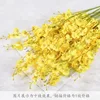 Yellow Dancing Orchid Single Stem