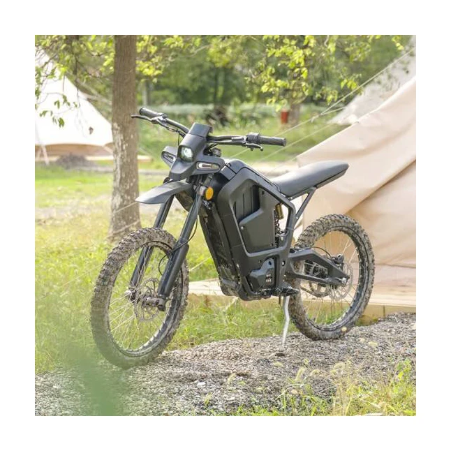 Molink hot sale electric motorbike