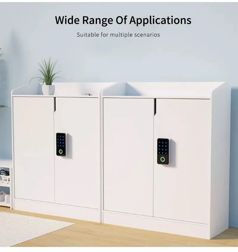Alibaba.com: Security Digital Wardrobe RFID Fingerprint Password ...