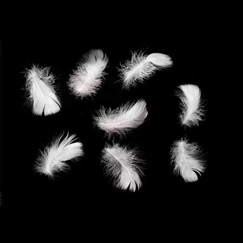 China Manufacturer Factory Directly Sale White Color 100% Duck Feather Filling Stuffing for Pillow