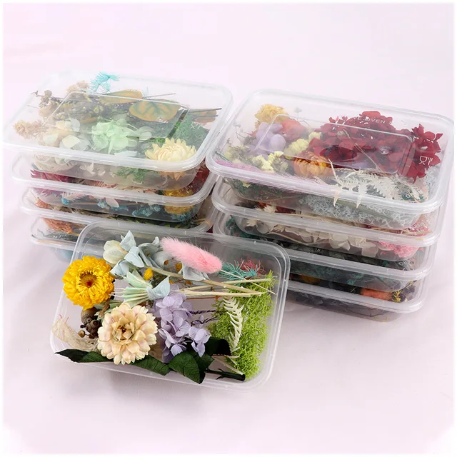 Unique DIY loose dried flower set scented candle flowers card making accessories dried flower craft Pampas small size
