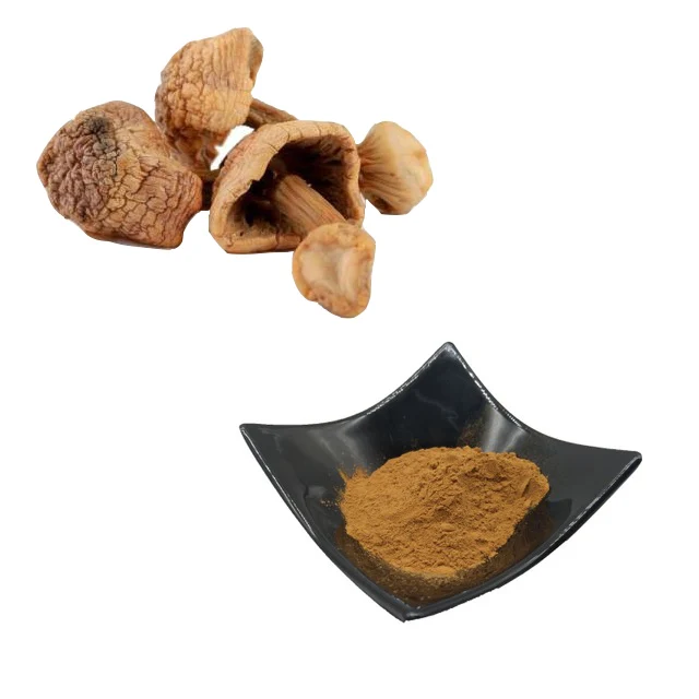 Agaricus Blazei Mushroom Extract  Powder Polysaccharide 30% UV
