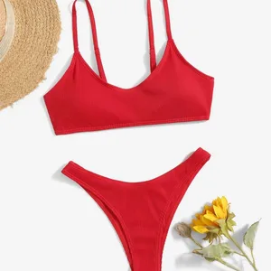 2023 New Arrival Cross-Border Women's Sexy Solid Pattern Waist Bikini Small Pit Strip V-Pants Thongs Hot Spring Logo Beachwear