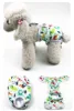 Dinosaur-printed menstrual panties for women