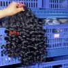 italy curly