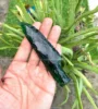 Deep Green