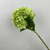 Green 182 film hydrangea