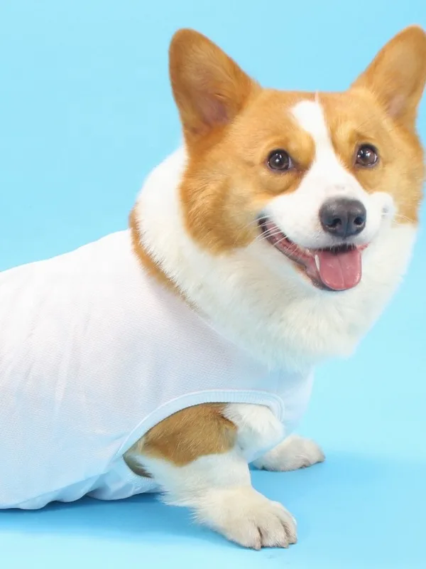 Custom Sublimation Blank Dog Shirts Printable Plain Dog Clothes Polyester Pets Clothes And