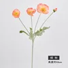 Naranja-Rosa