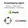 Dropshipping