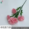 Single Carnation XC Pink
