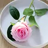 roseo