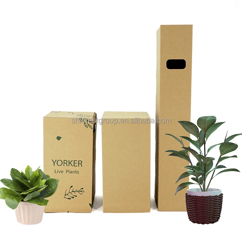 Strong Beautiful Custom Kraft Paper Plant Box With Your Logo With Inserts For Shipping For