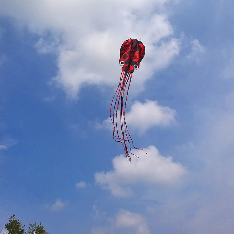 20190809_103635_013_.jpg