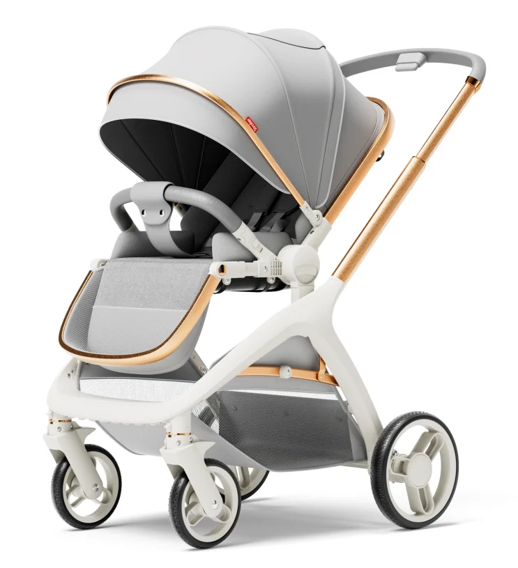 New Style 2 in 1 Baby Stroller 2