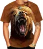 Grizzly Growl