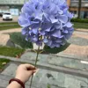 สีฟ้า