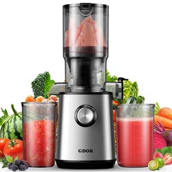 Electric Juicer