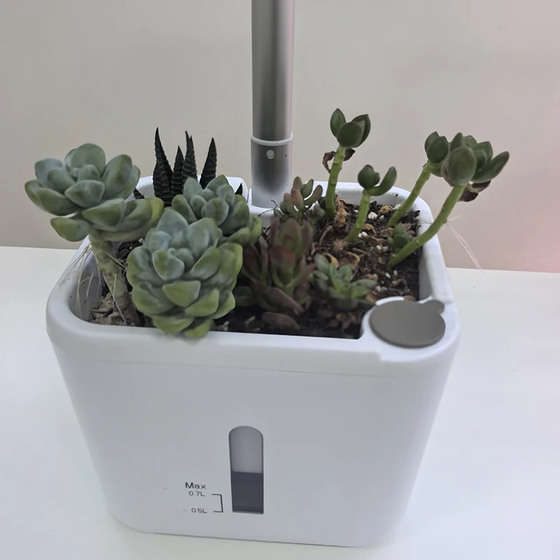 H80fa58f5fe77489995782e2e7f4bfbeaq