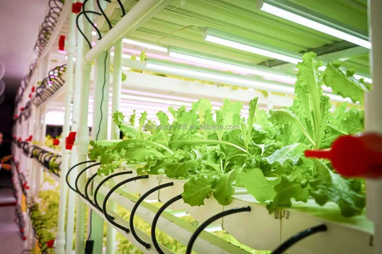 Hydroponic Cultivation LED Tube Light