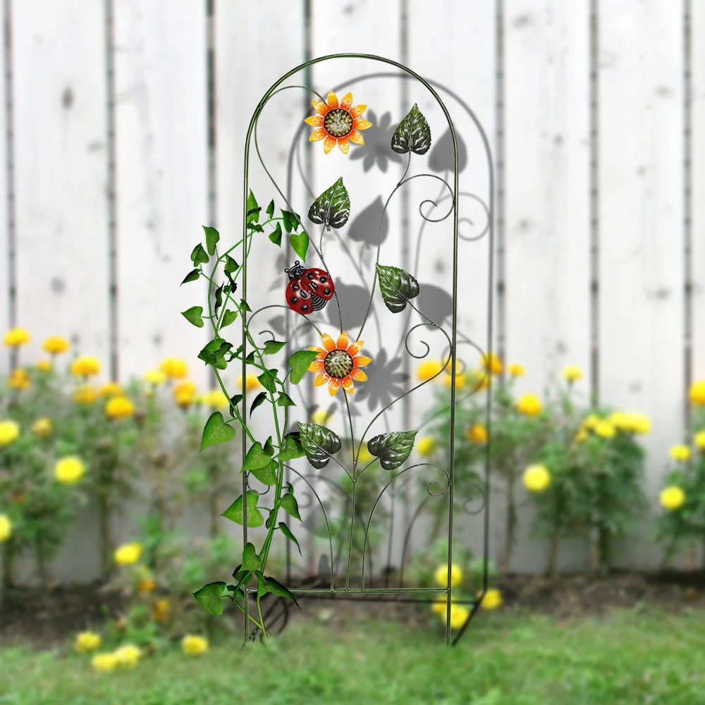    Black Arch Plant Flower Support  Climb Trellis Metal Fence