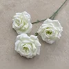 Rosa de diamante sin hojas verde claro