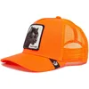 Orange leopard